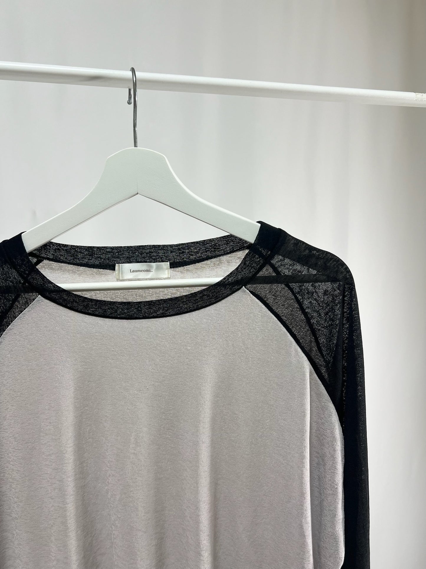 25066Sheer Raglan Top with Flared Sleeves