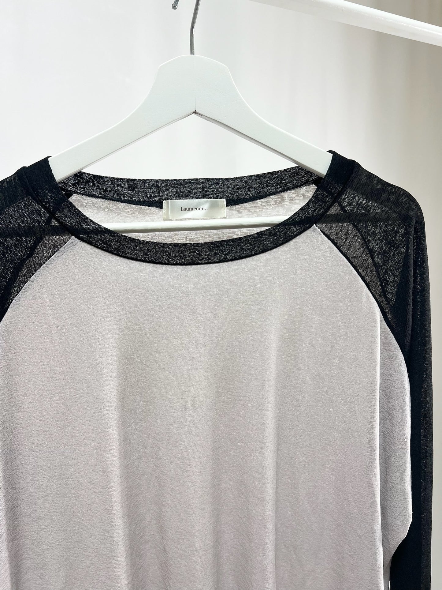 25066Sheer Raglan Top with Flared Sleeves